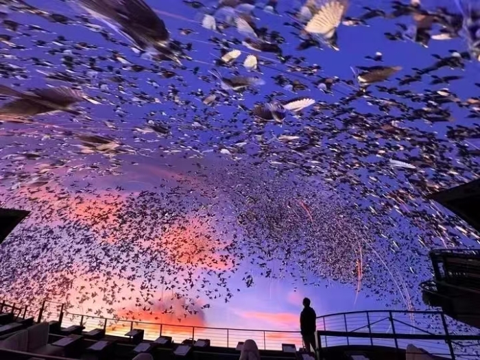 新華社3 新華社3